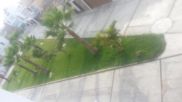 לינה וארוחת בוקר טרוחיו Residencial El Sol De Los Pinos מראה חיצוני תמונה